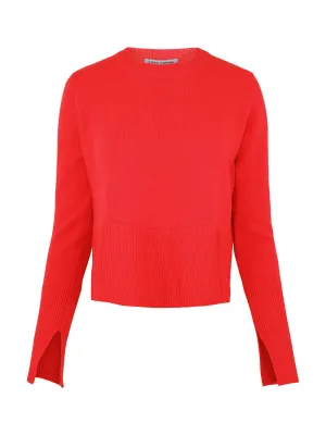 Autumn Cashmere Boxy Crew with Slits in Blazer