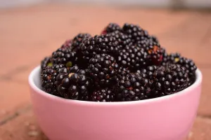 Blacker the Berry