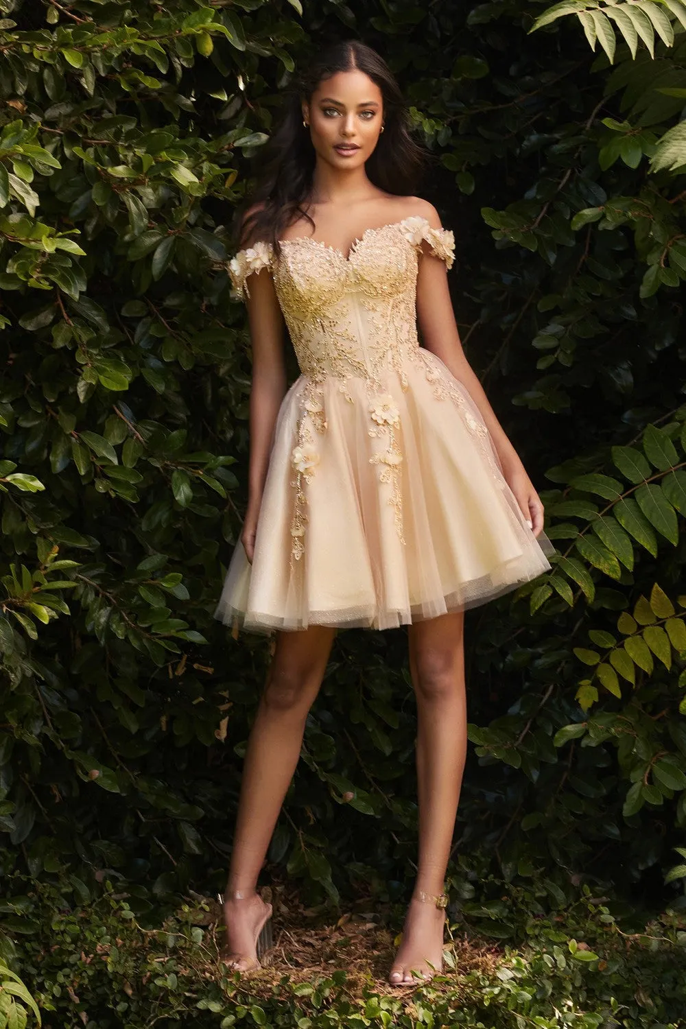 Cinderella Evening Dress CD0194