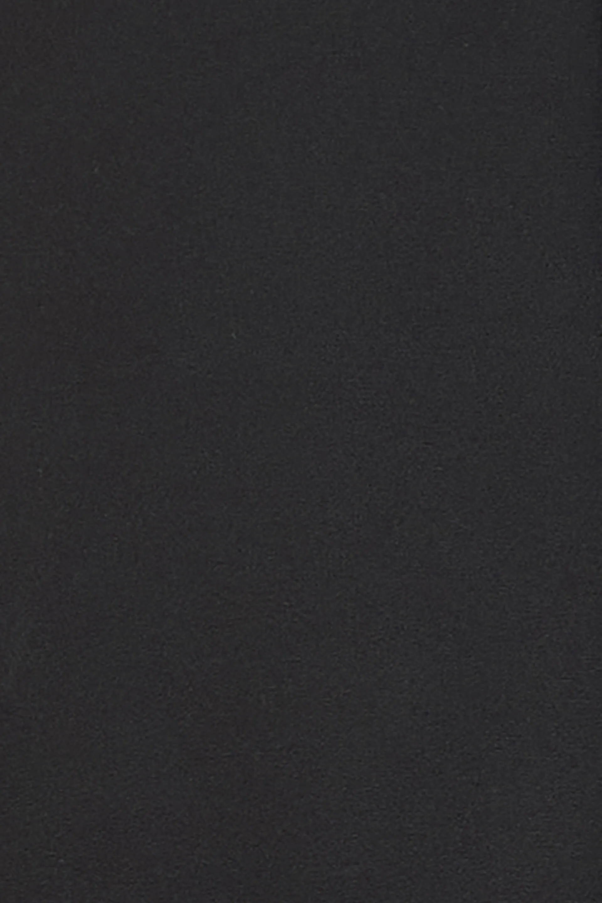 Fierce-Black Panelled Pencil Skirt - Black