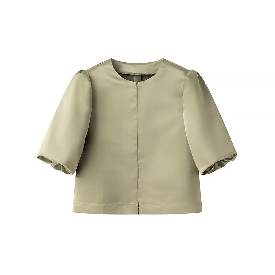 Hook and Eye Closure Puffy Sleeve Satin Blouse