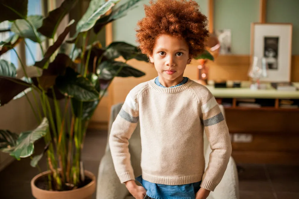 Robert Beige Stripe Sweater